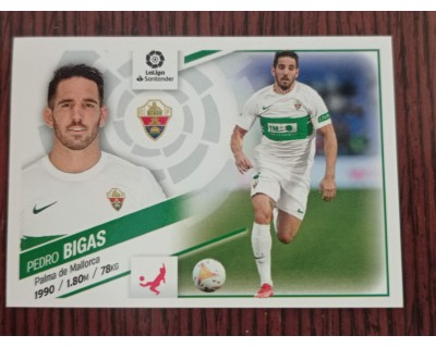 Cromo Liga Este 2022/2023 PEDRO BIGAS ELCHE CF Nº7