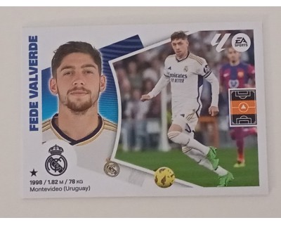 LIGA ESTE 2024/2025 FEDE VALVERDE REAL MADRID Nº 14