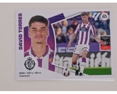 LIGA ESTE 2024/2025 DAVID TORRES R. VALLADOLID CF Nº 9