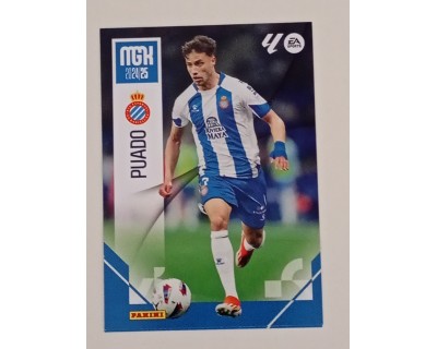 Megacracks 2024/2025 PUADO RCD Espanyol Nº 142