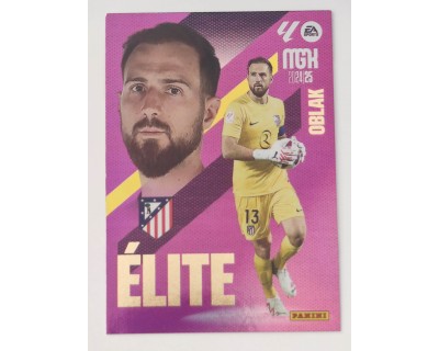 Megacracks 2024/2025 OBLAK ELITE Nº 12