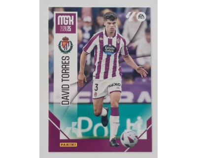 Megacracks 2024/2025 DAVID TORRES R. Valladolid CF Nº 350