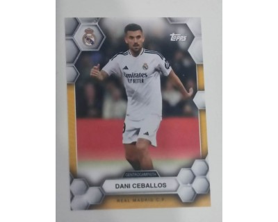 FAN SET REAL MADRID 2024/25 DANI CEBALLOS Nº12