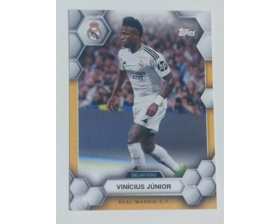 FAN SET REAL MADRID 2024/25 VINICIUS JUNIOR Nº18