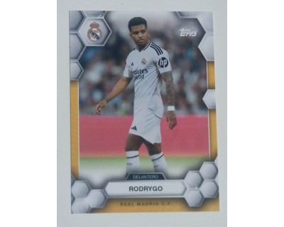 FAN SET REAL MADRID 2024/25 RODRYGO Nº19