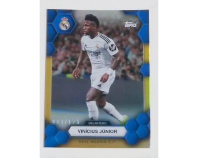 FAN SET REAL MADRID 2024/25 VINICIUS JUNIOR NUMERADA Nº067/175