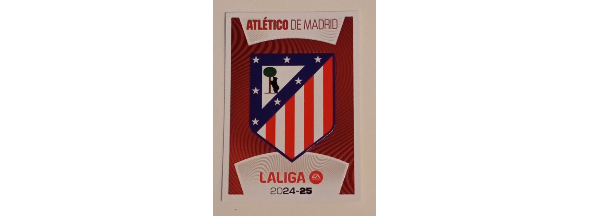 ATLETICO DE MADRID