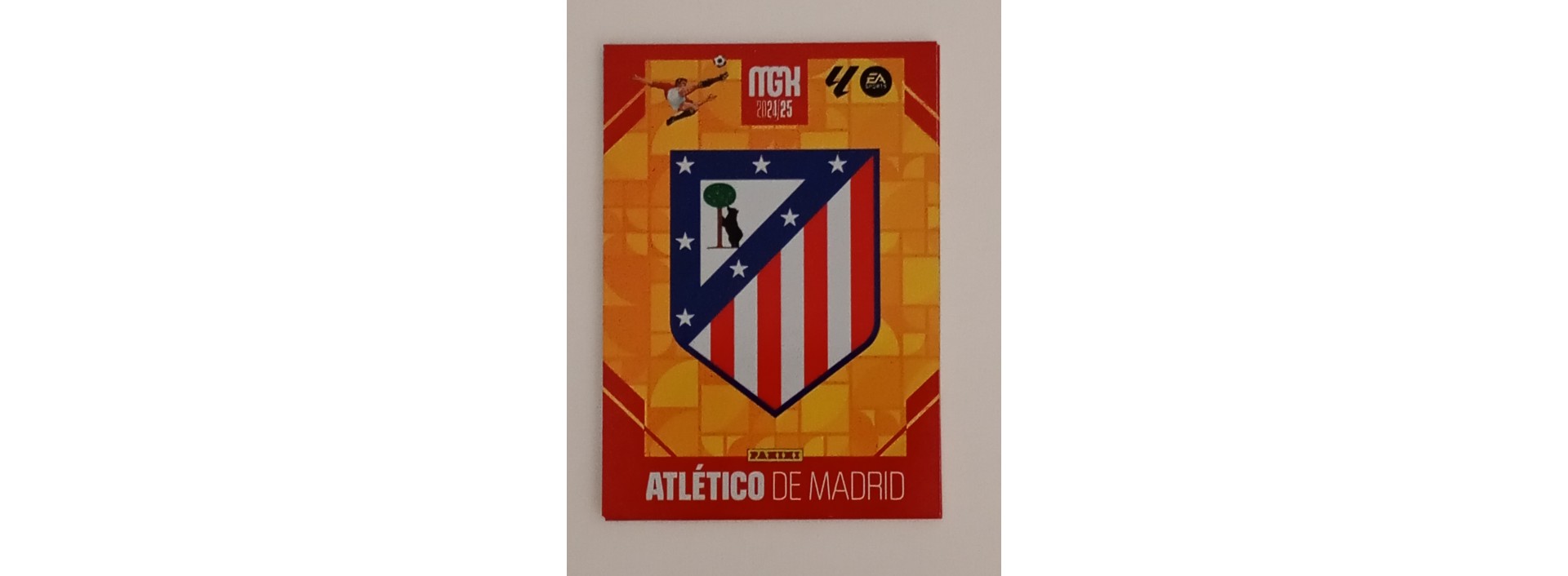 ATLETICO DE MADRID