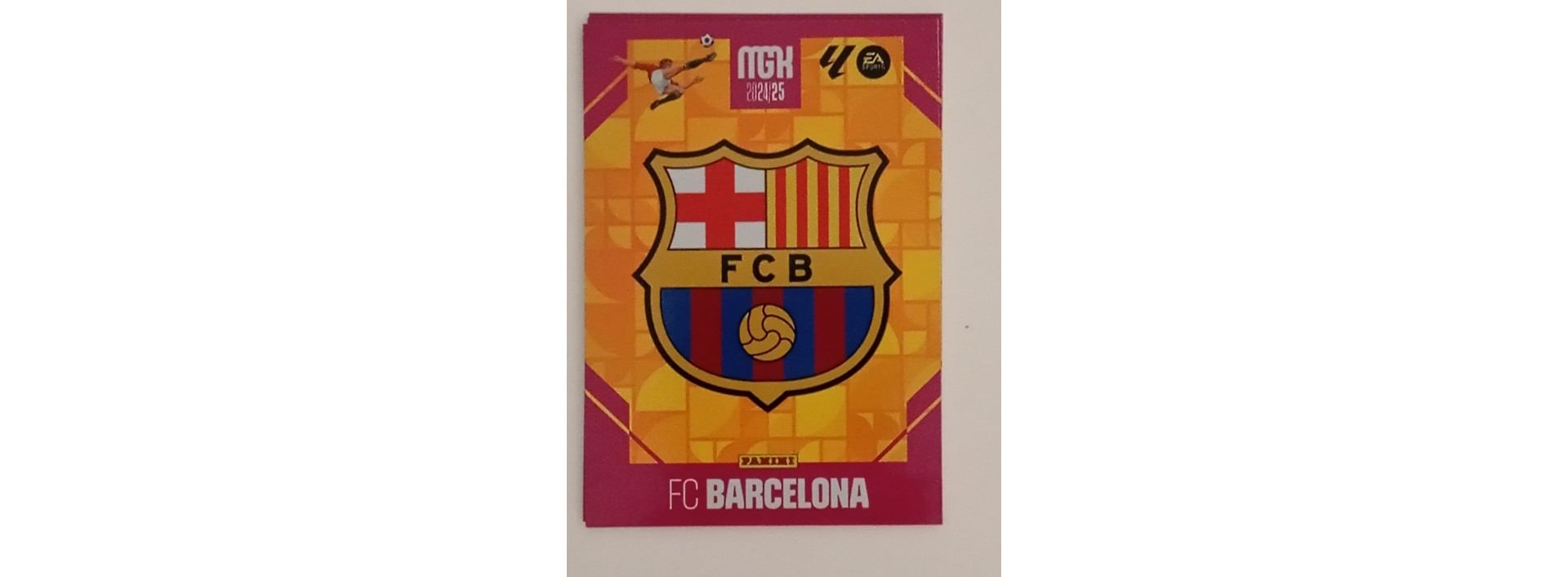 FC BARCELONA