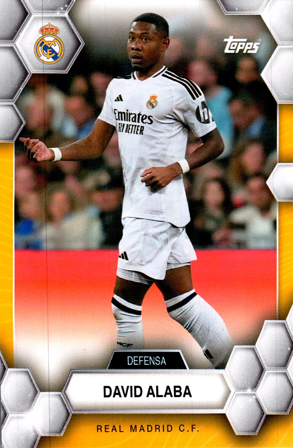 FAN SET REAL MADRID 2024/25 DAVID ALABA Nº5