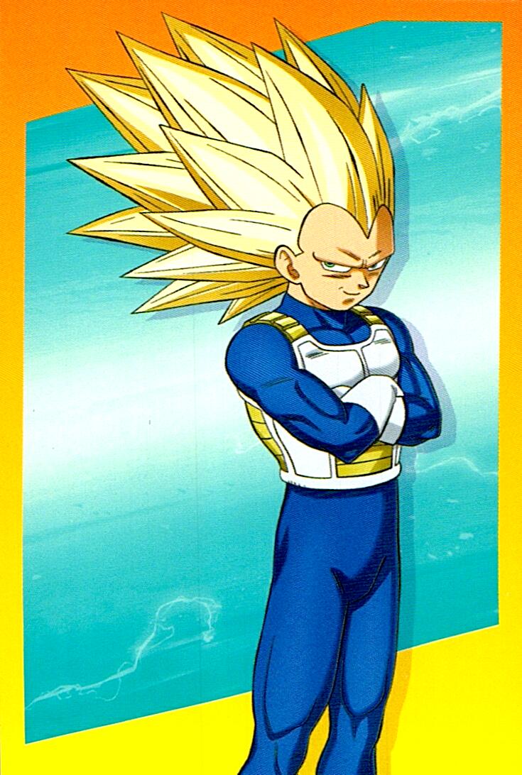 DRAGON BALL DAIMA Nº13