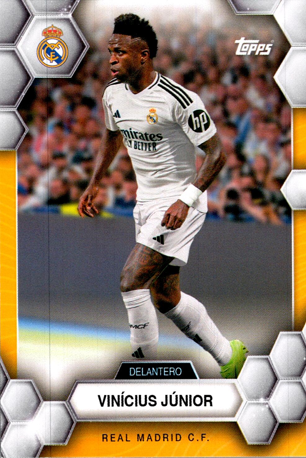 FAN SET REAL MADRID 2024/25 VINICIUS JUNIOR Nº18