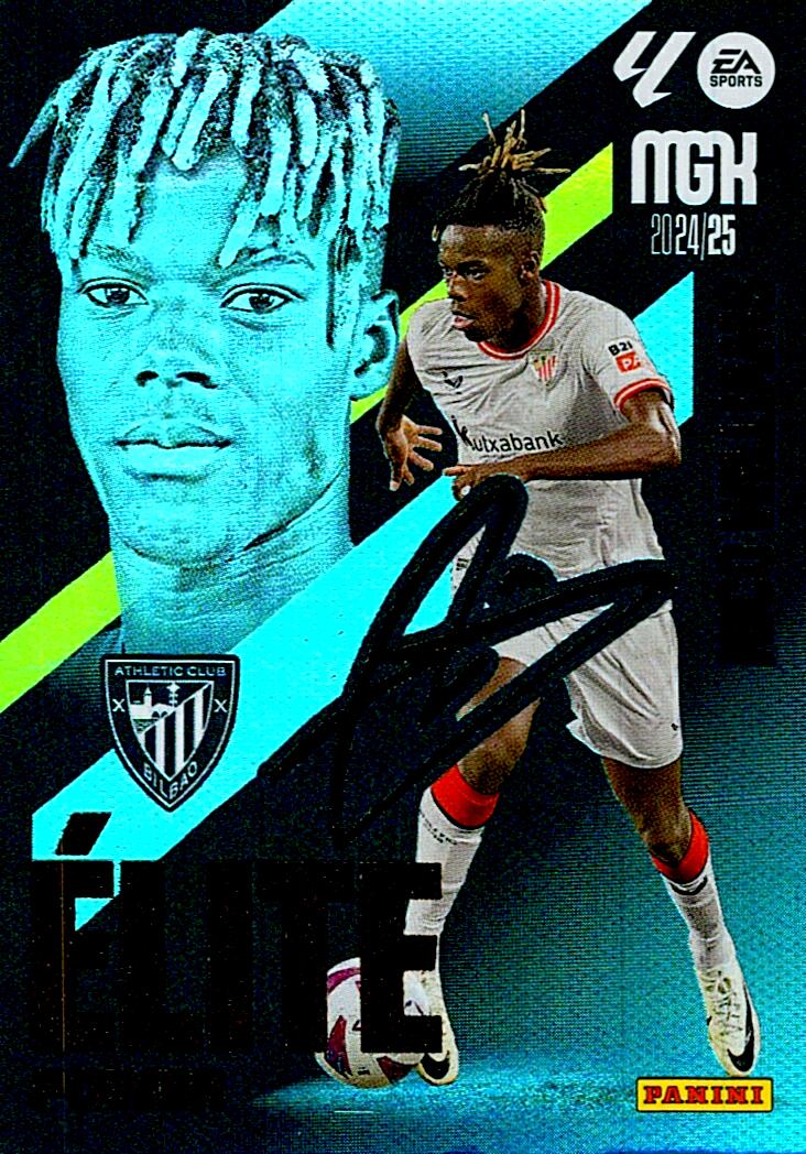 Megacracks 2024/2025 NICO WILLIAMS ELITE POWER Nº P11
